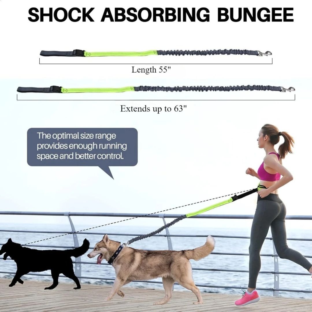 FreePaws™ 3-in-1 Leash – Run, Walk & Store Hands-Free!