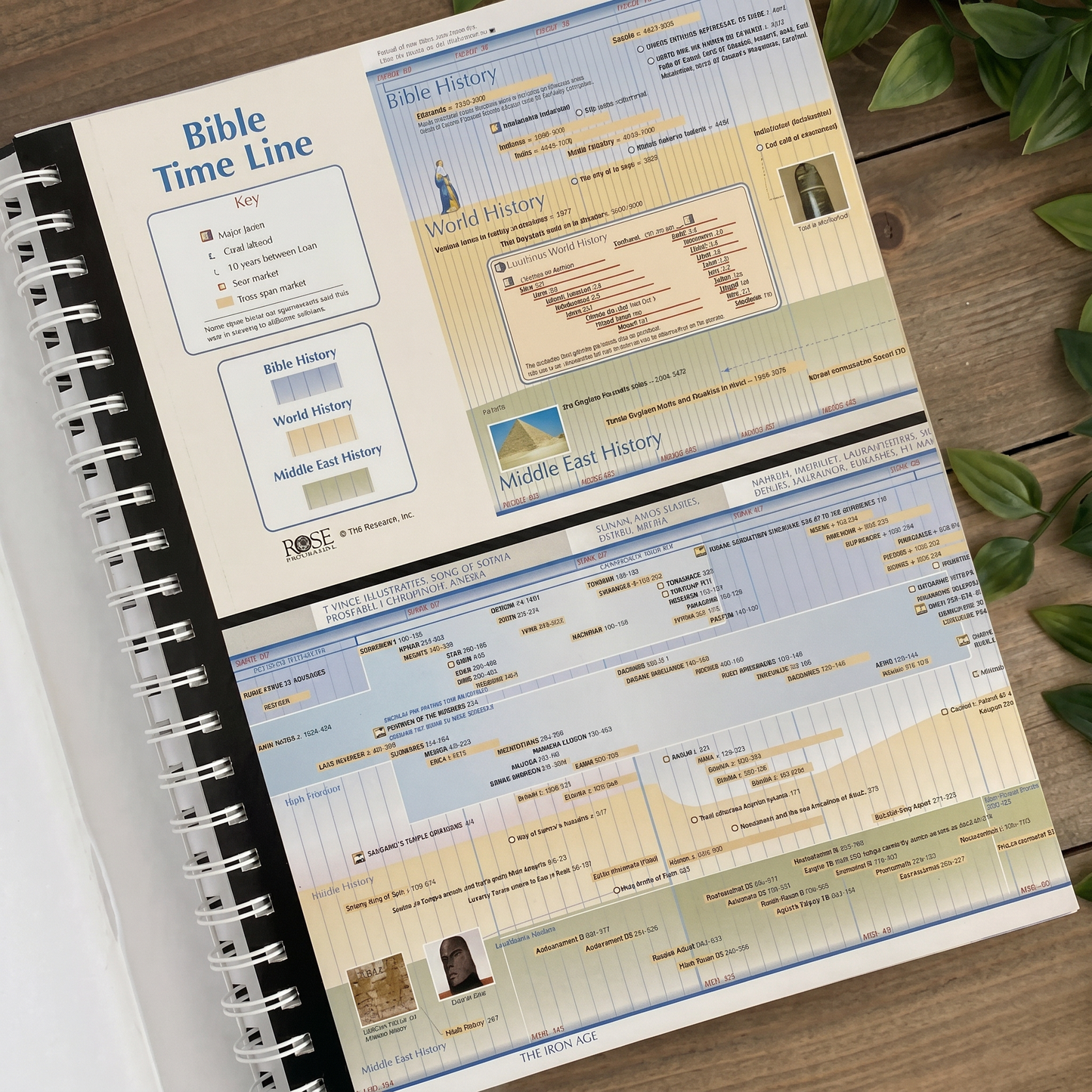 Book of Bible charts, Maps & Time Lines