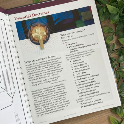 Book of Bible charts, Maps & Time Lines