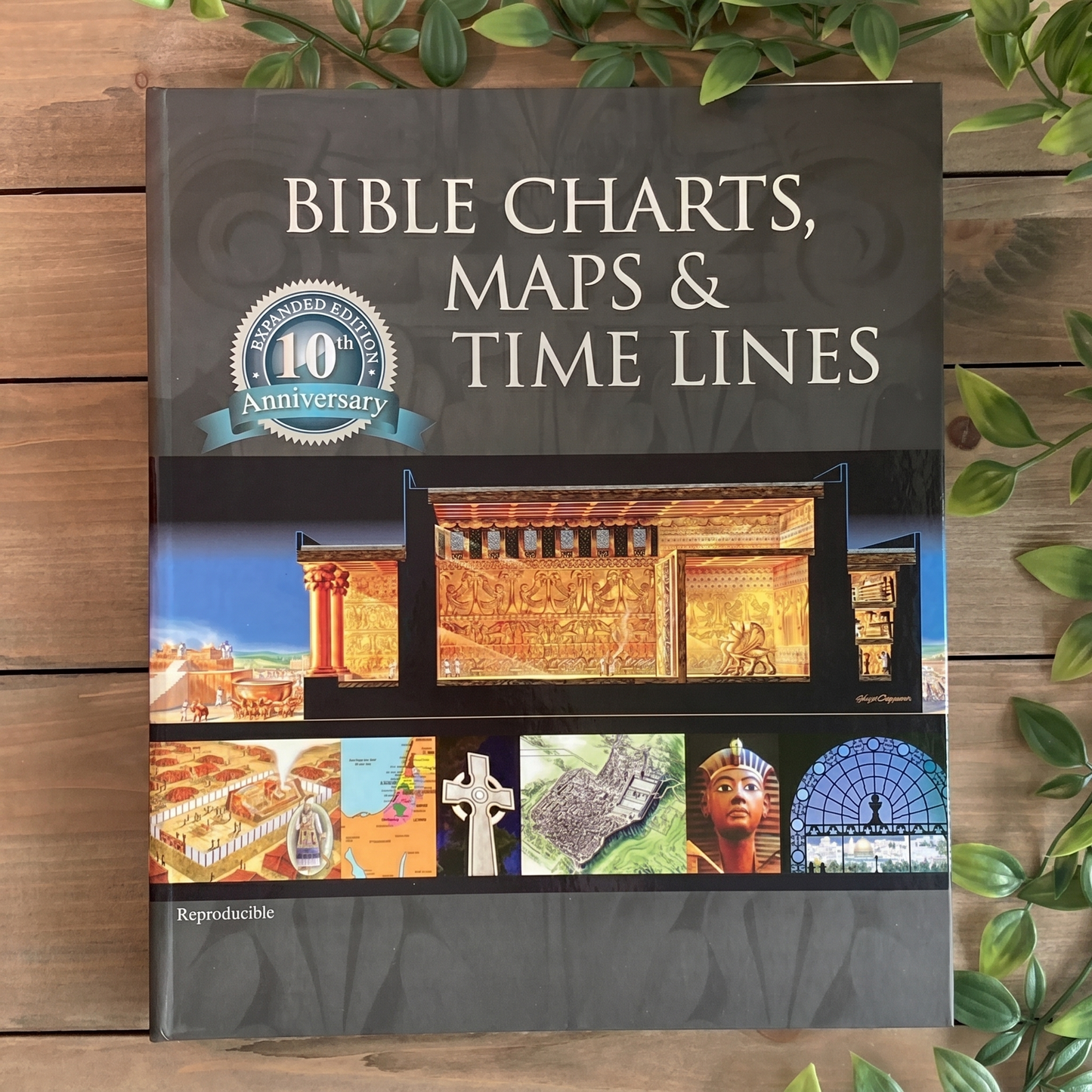 Book of Bible charts, Maps & Time Lines