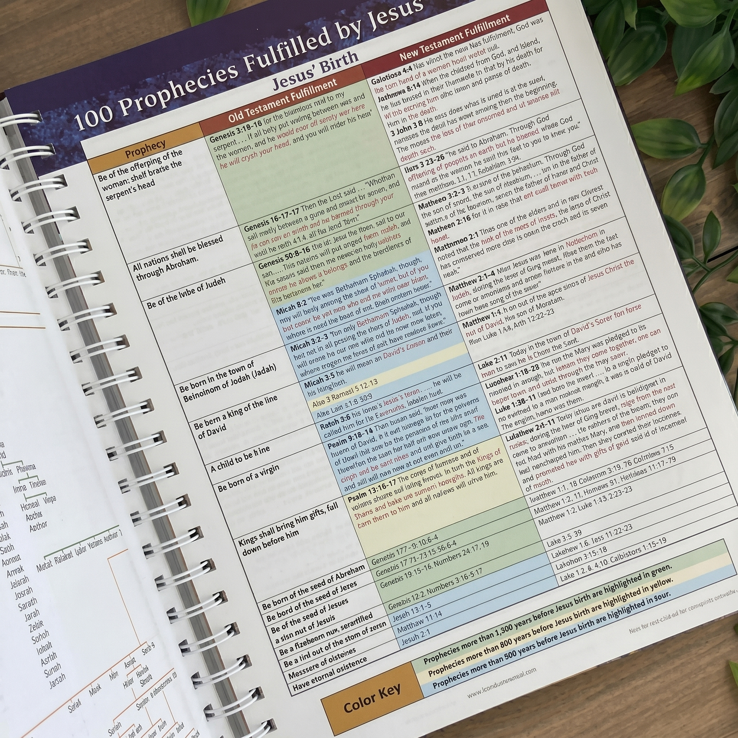 Book of Bible charts, Maps & Time Lines