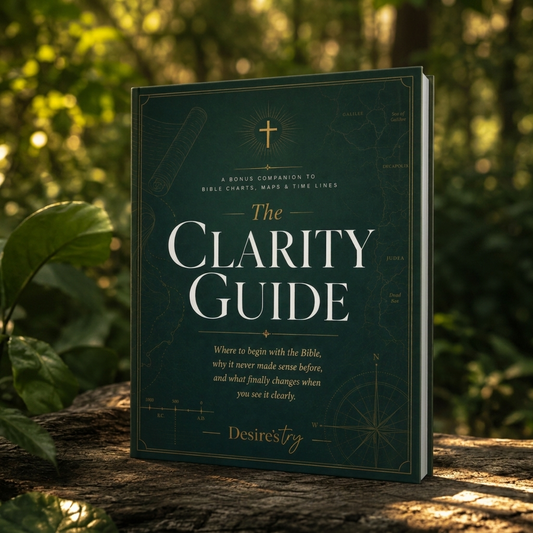 The Clarity Guide